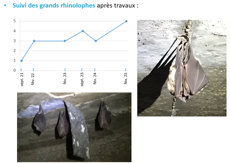 suivi grands rhino
